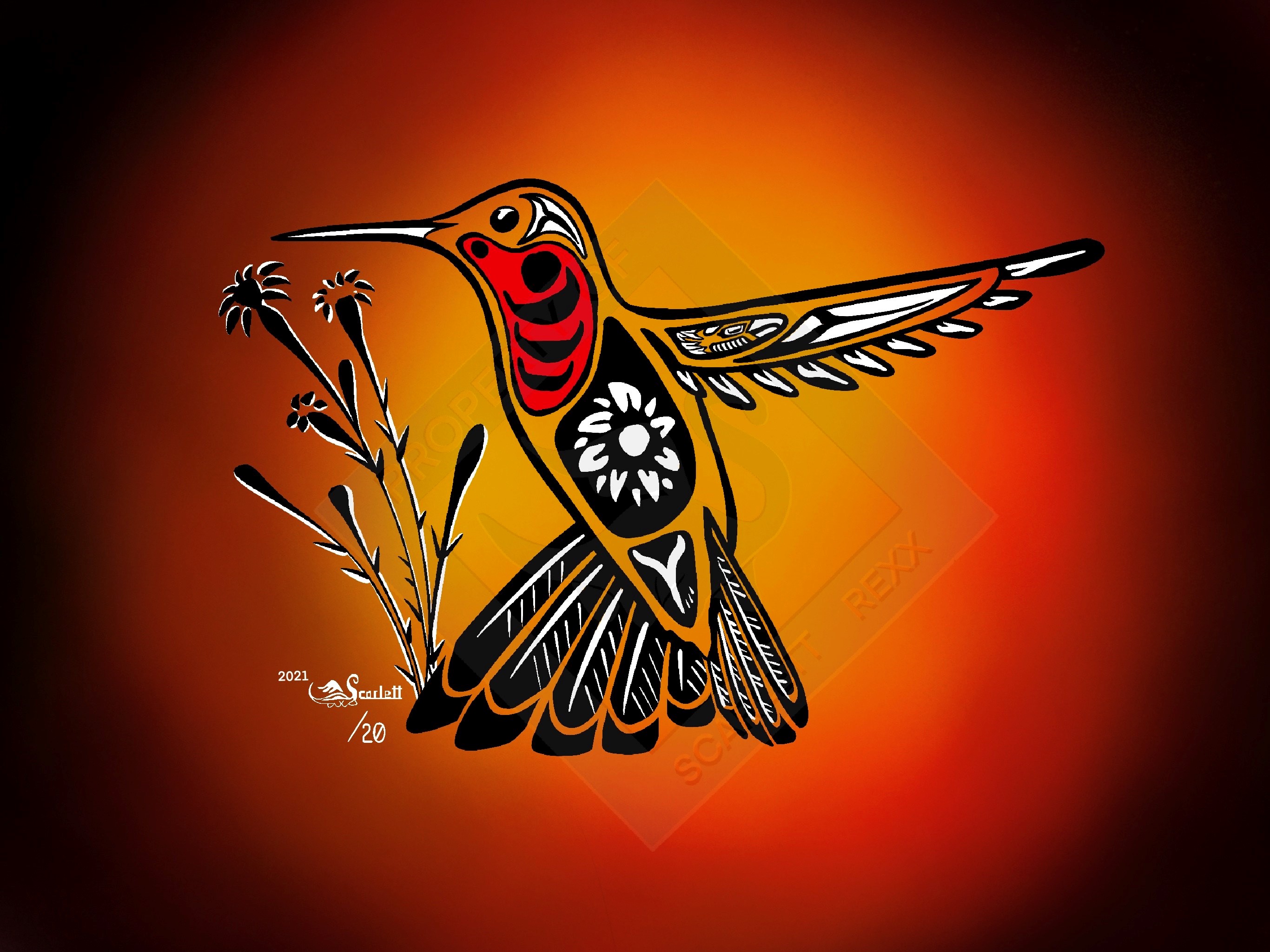 west coast style humming bird